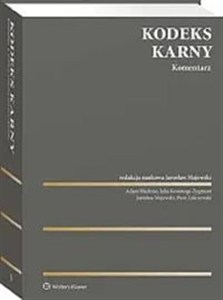 Obrazek Kodeks karny Komentarz