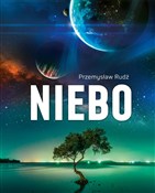 Niebo - Przemysław Rudź -  Książka z wysyłką do Niemiec 