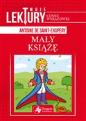 Mały Książ... - Antoine de Saint-Exupéry -  fremdsprachige bücher polnisch 