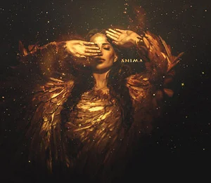 Bild von Anima