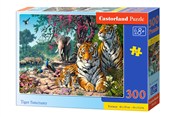 Polnische buch : Puzzle 300...