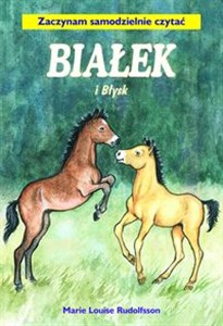 Bild von Białek i Błysk Tom 2