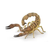 Skorpion - Ksiegarnia w niemczech