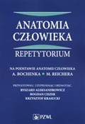 Książka : Anatomia c...