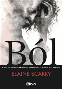 Bild von Ból Konstruowanie i dekonstruowanie świata w obliczu cierpienia