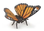 Motyl - buch auf polnisch 
