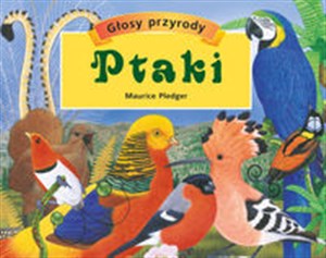 Obrazek Ptaki Głosy przyrody
