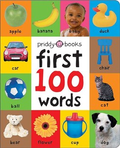 Bild von First 100 Words
