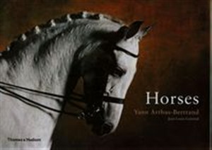 Bild von Horses
