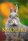 Polnische buch : Króliki Za... - Anna Warrlich