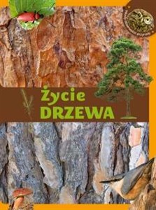 Obrazek Życie drzewa