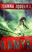 Kamyk - Joanna Jodełka - Ksiegarnia w niemczech