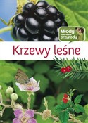 Krzewy leś... - Opracowanie Zbiorowe - Ksiegarnia w niemczech