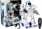 Robot -  fremdsprachige bücher polnisch 