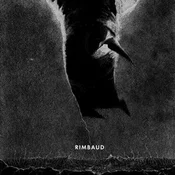 Rimbaud -  fremdsprachige bücher polnisch 