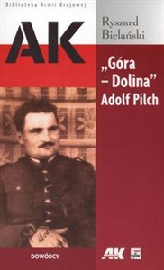 Obrazek Góra Dolina Adolf Pilch