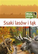 Ssaki lasó... - Małgorzata Wilamowska - buch auf polnisch 