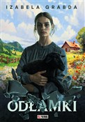 Odłamki - Izabela Grabda -  fremdsprachige bücher polnisch 