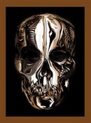 Alexander ... - Andrew Bolton -  Polnische Buchandlung 