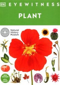 Obrazek Eyewitness Plant