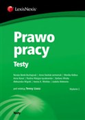Zobacz : Prawo prac... - Renata Borek-Buchajczuk, Anna Daniluk-Jarmoniuk, Monika Kolbus, Anna Kosut, Pauli Matyjas-Łysakowska