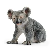 Miś koala -  fremdsprachige bücher polnisch 