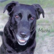 Mucha - Piotr Kozłowski - Ksiegarnia w niemczech