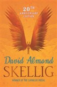 Polnische buch : Skellig Wi... - David Almond